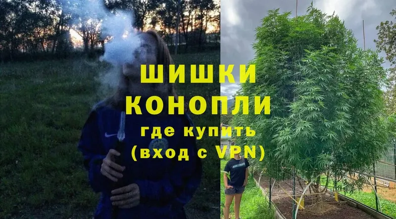 Бошки Шишки VHQ  Княгинино 